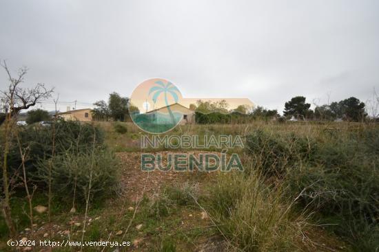 TRES TERRENOS, UNO CON CASA DERRUIDA, ACCESIBLES A LUZ Y AGUA Y CON DERECHO A POZO. - MURCIA