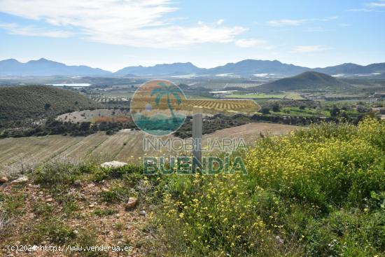 TERRENO RÚSTICO EN LA MAJADA, CON MAGNÍFICAS VISTAS AL VALLE DE MAZARRÓN EN VENTA - MURCIA