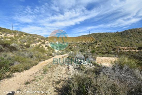 TERRENO RÚSTICO EN LA MAJADA, CON MAGNÍFICAS VISTAS AL VALLE DE MAZARRÓN EN VENTA - MURCIA