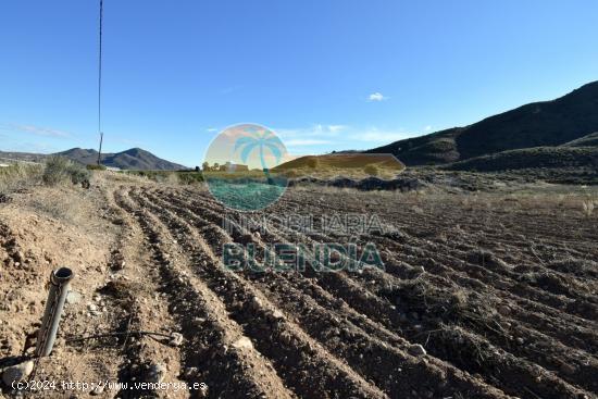 Terreno Rústico en Lorca zona Morata - MURCIA