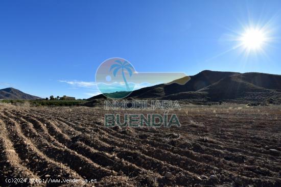 Terreno Rústico en Lorca zona Morata - MURCIA