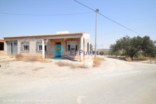 2 CASAS DE CAMPO CON AMPLIO TERRENO - MURCIA