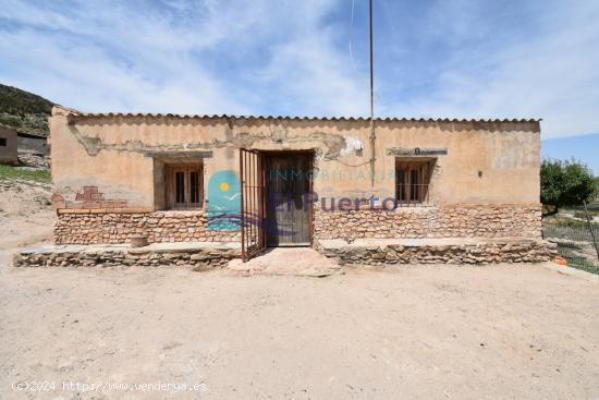  CASA DE CAMPO CON 16.000 METROS DE TERRENO - MURCIA 