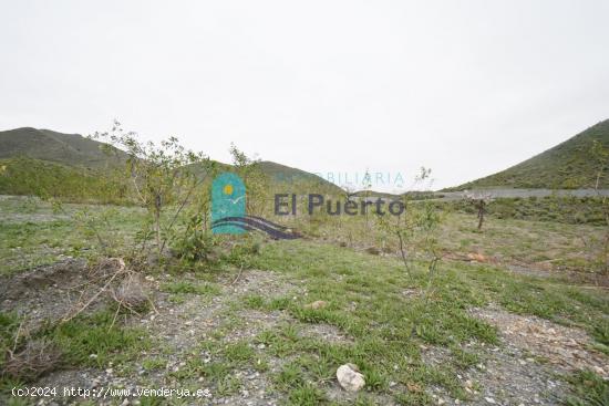 TERRENO RÚSTICO EDIFICABLE DE MÁS DE 45.000 METROS JUNTO A CARRETERA Y ACCESIBLE A LUZ Y AGUA. - M