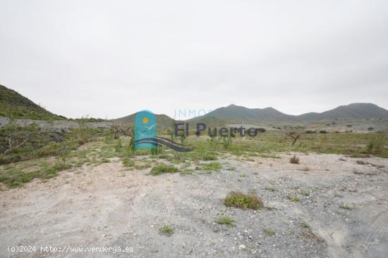 TERRENO RÚSTICO EDIFICABLE DE MÁS DE 45.000 METROS JUNTO A CARRETERA Y ACCESIBLE A LUZ Y AGUA. - M