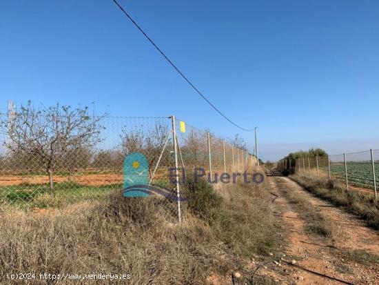 TERRENO RÚSTICO A LA VENTA. REF 20 - MURCIA