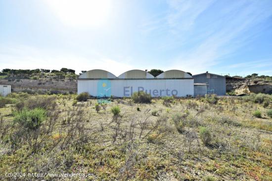 NAVE INDUSTRIAL CON TERRENO DE 11.000m2 APROX. EN MAZARRÓN - MURCIA