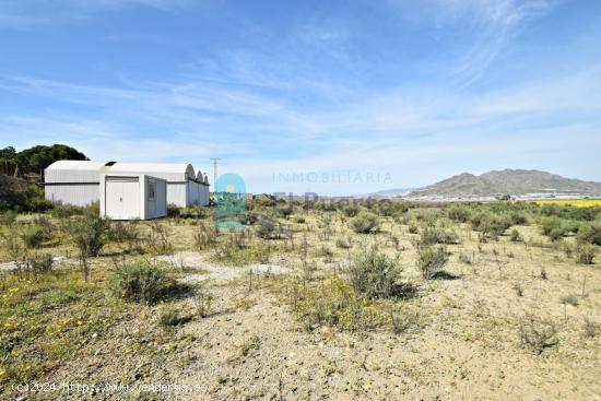 NAVE INDUSTRIAL CON TERRENO DE 11.000m2 APROX. EN MAZARRÓN - MURCIA