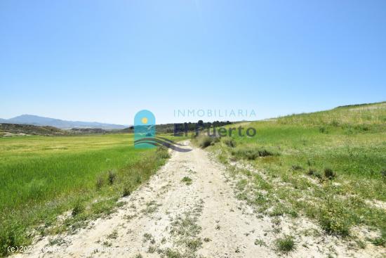 TERRENO EN LA MAJADA DE MÁS DE 60.000 METROS - MURCIA