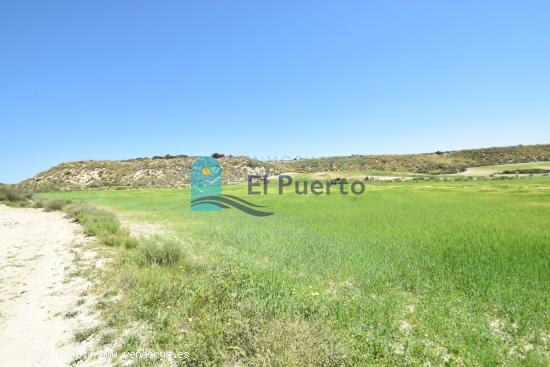 TERRENO DE 20.000 METROS EN LA MAJADA - MURCIA