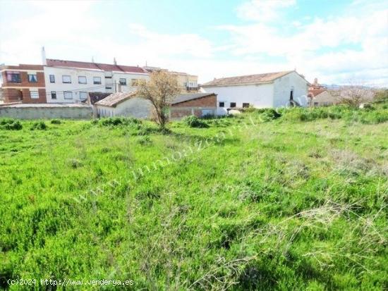  Parcela urbana en Los Arcos. - NAVARRA 