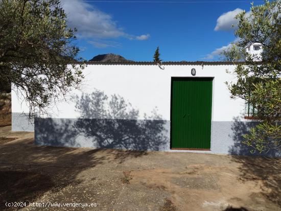 Terreno rústico con casa - MALAGA