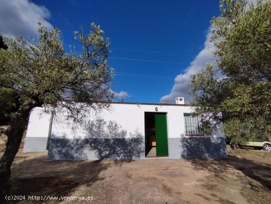 Terreno rústico con casa - MALAGA