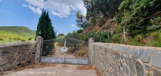 Terreno Rústico Parque Nacional Sierra de las NIeves - MALAGA