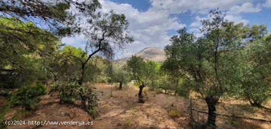 Terreno Rústico Parque Nacional Sierra de las NIeves - MALAGA