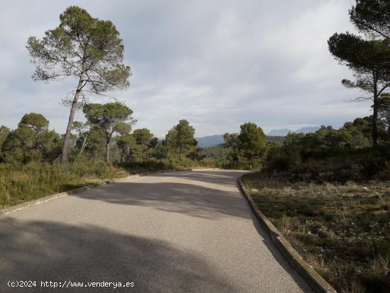  Terreno en venta en Mediona - BARCELONA 