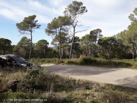 Terreno en venta en Mediona - BARCELONA