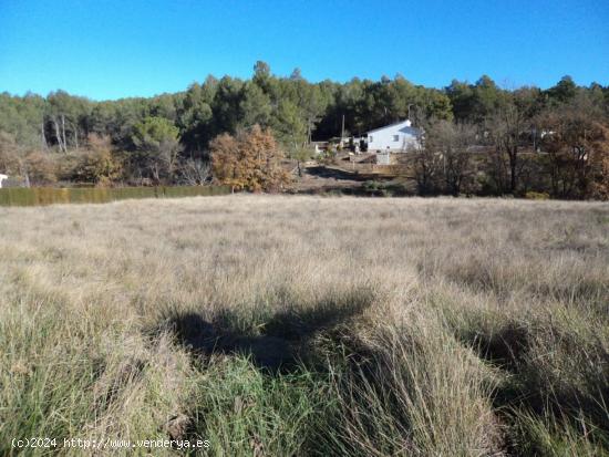  Parcela en venta en El Montmell - TARRAGONA 