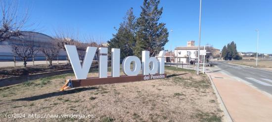  Parcela en venta en Vilobí del Penedès - BARCELONA 