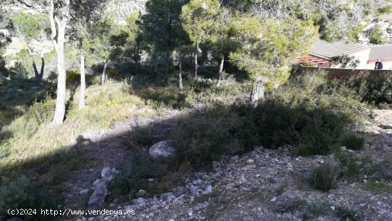  Parcela en venta en La Bisbal del Penedès - TARRAGONA 