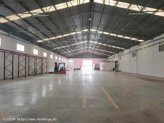 ALQUILER NAVE INDUSTRIAL EN MONFORTE DEL CID - ALICANTE