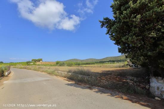 Finca rústica con caseta de aperos - TARRAGONA