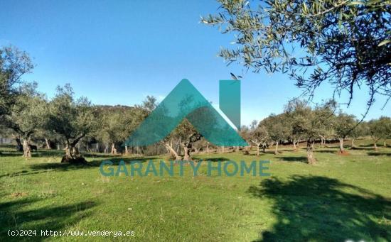 Se vende finca rústica en zona LA SIERRILLA - CACERES