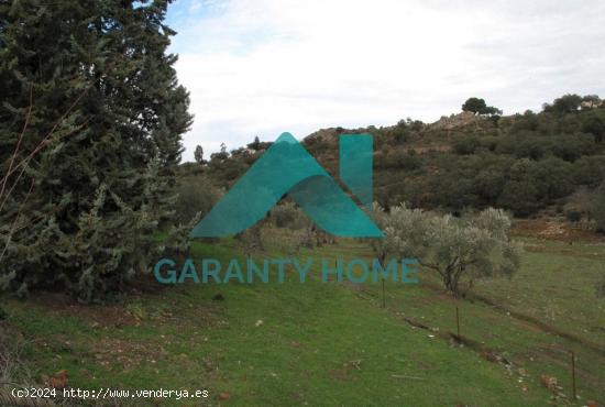 SE VENDE FINCA RUSTICA ZONA DE LA MONTAÑA - CACERES