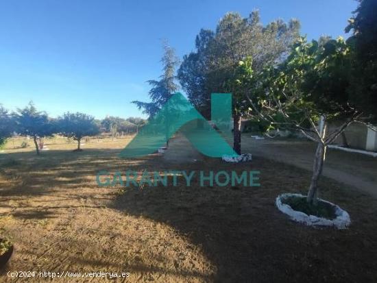 SE VENDE CASA DE CAMPO EN ZONA MONTE DEL CASAR - CACERES