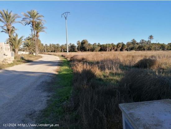 TERRENO EN ZONA DAIMES ELCHE - ALICANTE