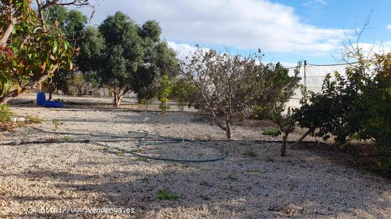 FINCA RUSTICA PARA CULTIVO CON SALON Y ESTANQUE, PORIS DE ABONA - SANTA CRUZ DE TENERIFE