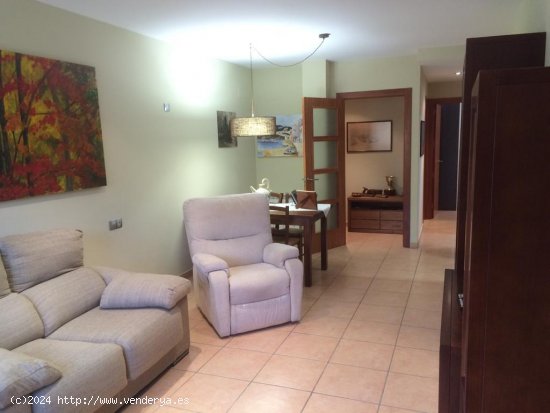 Piso en venta  en Ripoll - Girona