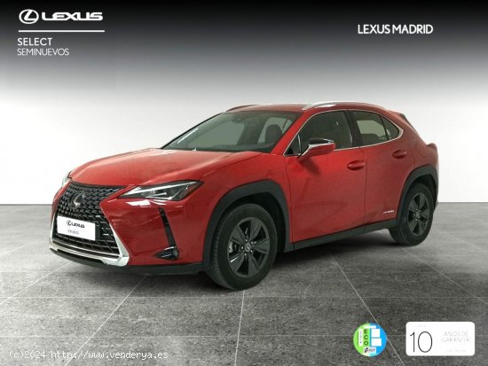  Lexus UX 2.0 250h Business - El Plantío 