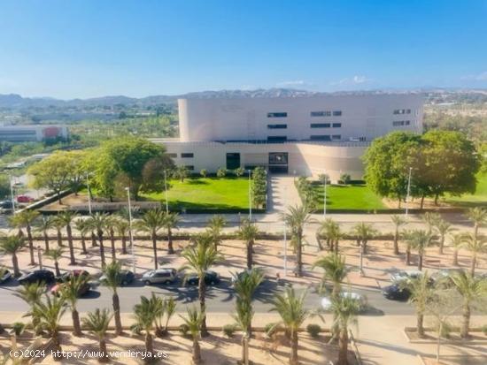  PISO PARA ESTUDIANTES ENFRENTE DE LA UNIVERSIDAD - ALICANTE 