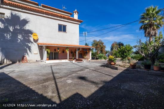  Casa con terreno en Icod de los Vinos. - SANTA CRUZ DE TENERIFE 