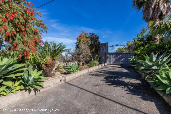 Casa con terreno en Icod de los Vinos. - SANTA CRUZ DE TENERIFE