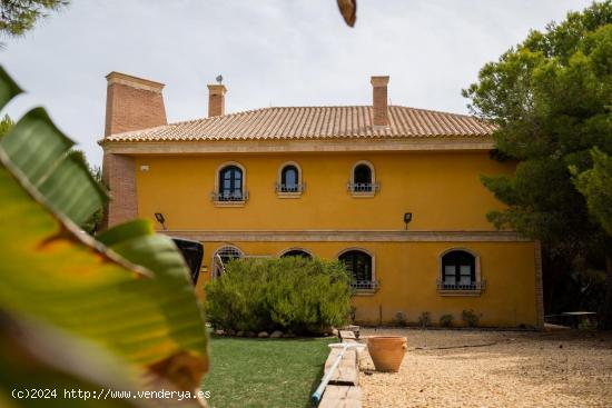  MANSION CON PISCINA PRIVADA Y PARCELA. - ALICANTE 