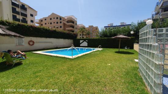 Apartamento situado en la playa de Guardamar de la Safor en 3ª línea del mar asolo 100m del mar - 