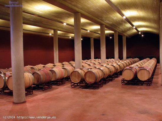  Bodega  en funcionamiento en Baños de Ebro, Álava - ALAVA 