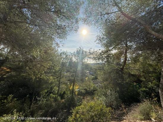 Parcela con Vistas en Can Suria - BARCELONA