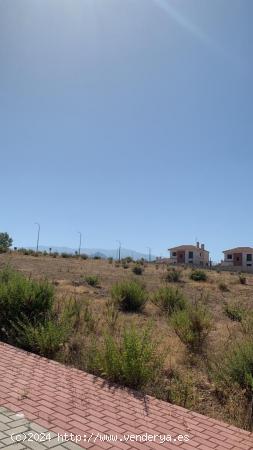  PARCELA CON VISTAS A SIERRA NEVADA!!! - GRANADA 