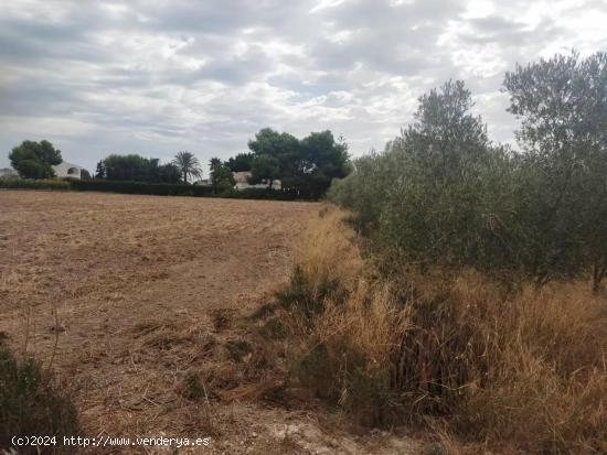  SI QUIERES CONSTRUIR TU HOGAR RODEADO DE NATURALEZA TENEMOS EL LUGAR IDEAL!! - ALICANTE 