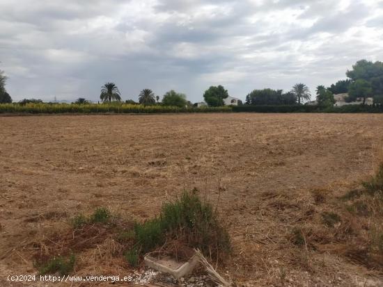 SI QUIERES CONSTRUIR TU HOGAR RODEADO DE NATURALEZA TENEMOS EL LUGAR IDEAL!! - ALICANTE