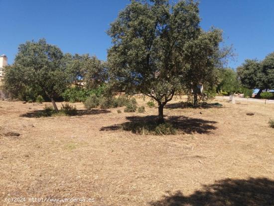 PARCELA EN  URB. DOÑA MANUELA, PARAISO ARENAL, CÓRDOBA - CORDOBA