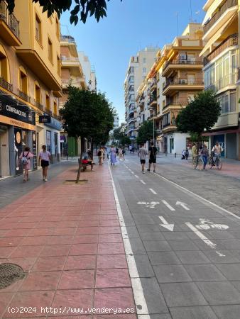 PISO EN CALLE ASUNCION - SEVILLA