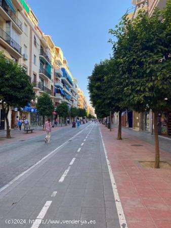 PISO EN CALLE ASUNCION - SEVILLA