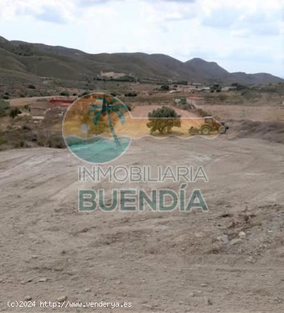 TERRENO RÚSTICO LLANO Y CON BUEN ACCESO EN VALDELENTISCO MAZARRON EN VENTA - MURCIA