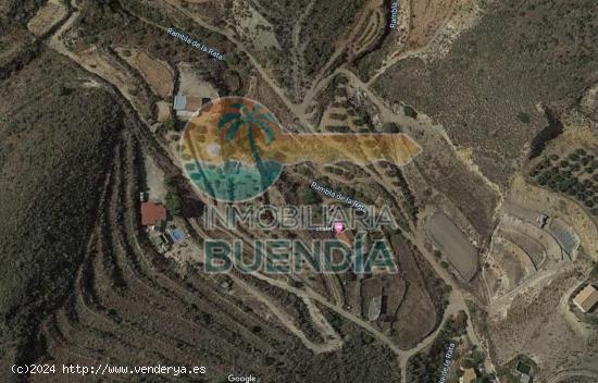 TERRENO RÚSTICO LLANO Y CON BUEN ACCESO EN VALDELENTISCO MAZARRON EN VENTA - MURCIA