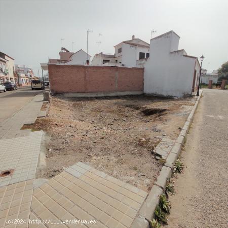 SOLAR DE ESQUINA EN GUILLENA, SEVILLA. - SEVILLA