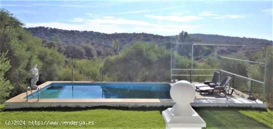 FINCA EN CASTIBLANCO DE LOS ARROYOS, SEVILLA. - SEVILLA